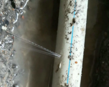 金湾卫生间测漏水多少钱